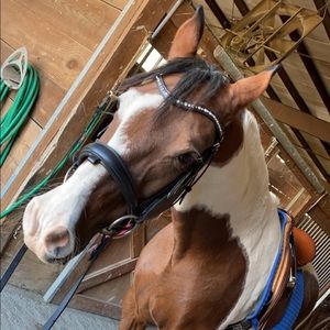 Meet your Posher, Terri